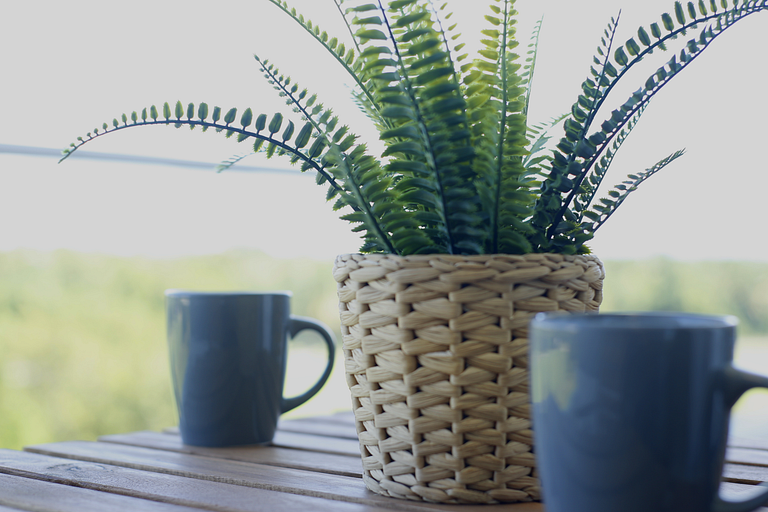 Infinity Homes Punta Cana (2Room)